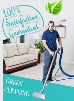 Professional Carpet Cleaning